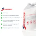 Corroseal 6