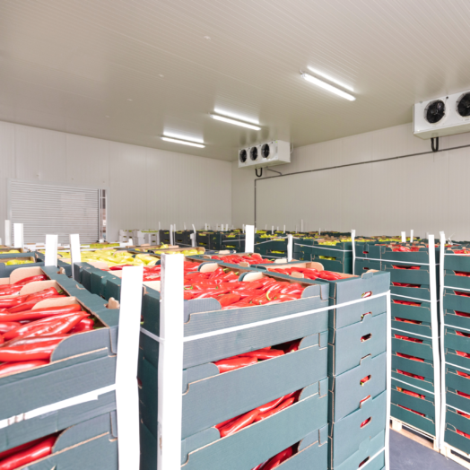 Cleanroom 2
