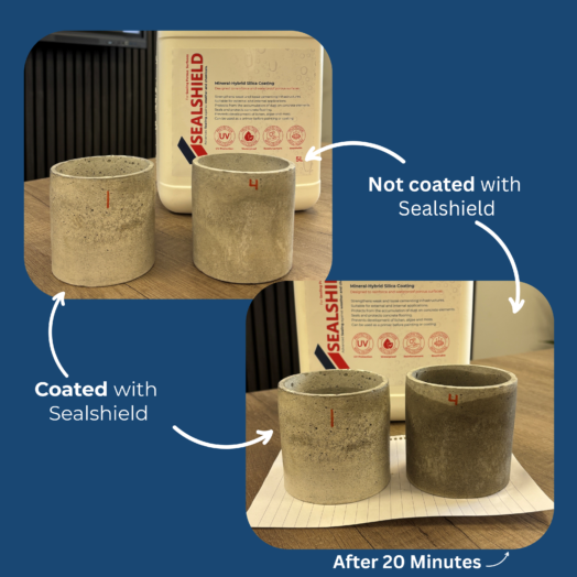 Sealshield Cups
